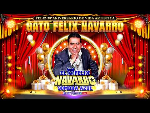 TU RECUERDO...FELIX NAVARRO Y SU SOMBRA AZUL en 4K - FELIZ 38 ANIVERSARIO EL GATO