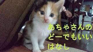 第21話　あちゃさんのどーでもいいはなし