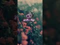 Katre En Vasal Vanthai Nee En Arugil Vathu Ne Liya Tamil Whatsappstatus Love Status