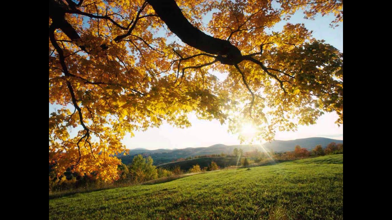 Tera Man Mera Man Mile Prit Yun Khile Lyrics | Chandra Mukhi | Mukesh, Lata Mangeshkar | S N Tripathi