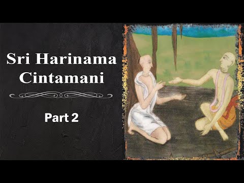 Sri Harinama Cintamani | Seminar Part 2 | Bhakti Dhira Damodara Swami