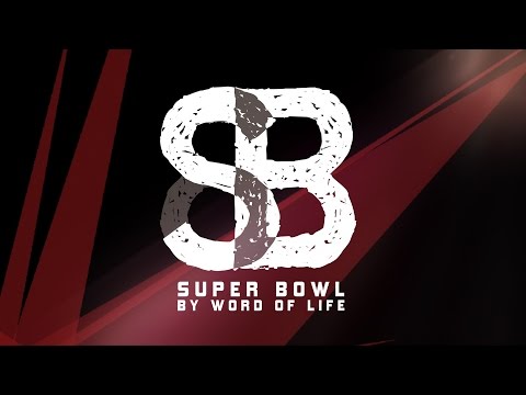 WOL Superbowl 2015 Highlights