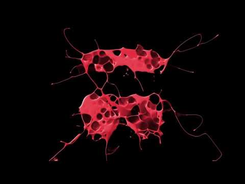 Teo Moss Feat. Daniel Shems & Phylly -  What U Like (JP Candela Remix Radio Edit)