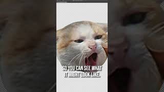 A.I. Generates INSANE Viral Video Idea 🤯 thumbnail