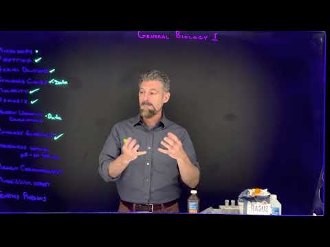 Lab Assignment Overview