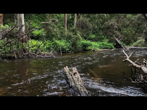 Remote Overnight Highcountry Solo Camping & Fishing Mission Part 2