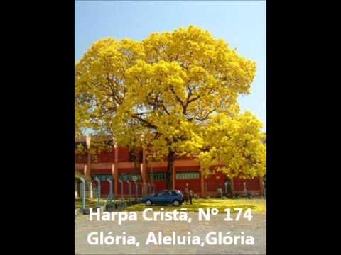 Harpa Cristã, Nº 174
