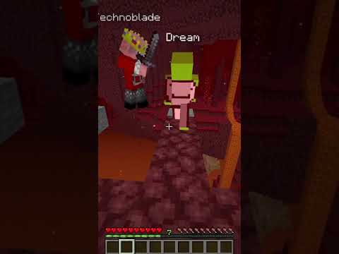 Minecraft: DREAM vs TECHNOBLADE #Shorts