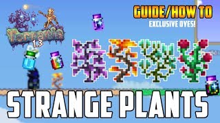 Terraria - Strange Plant Guide - What to do with Strange Plants? *How to get special dyes!*
