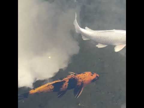 Parc de la Planchette in Levallois-Perret