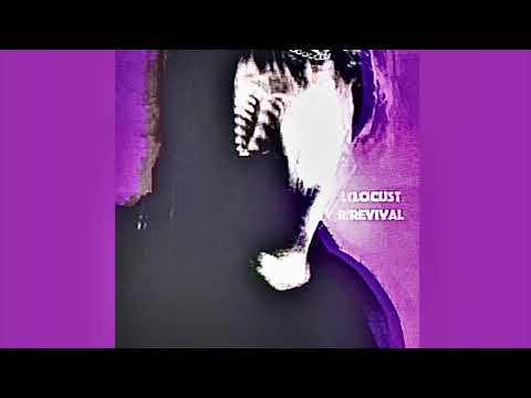 Locust Revival - THE NEW DECEPTION (2019)