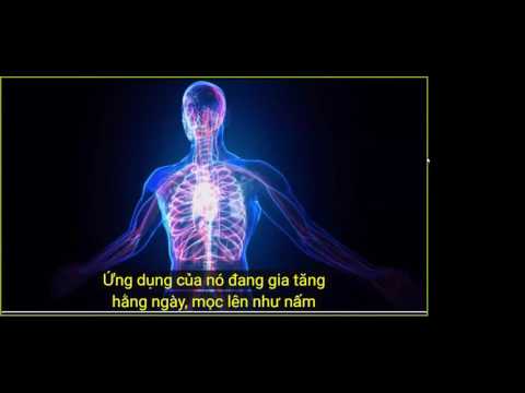 2016 10 29 AM Public Teaching in Vietnamese - Buổi giảng công cộng bằng tiếng Việt