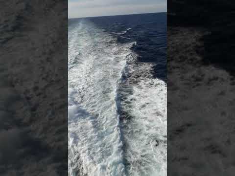 معكم  باخرة متجهة  من باليرمو  الى genova