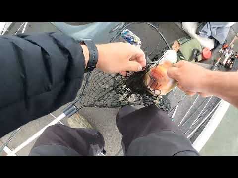 Lake Murray Prespawn Smash Fest