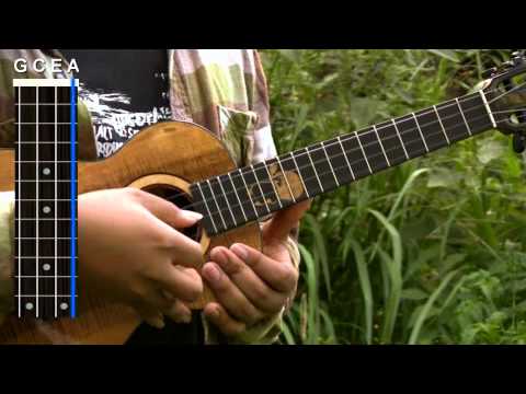 Uke Minutes 119 - Singing & Fingerpicking