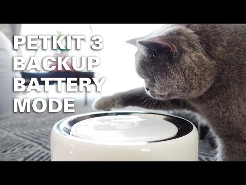 PETKIT EVERSWEET 3 WATER FOUNTAIN BACKUP BATTERY MODE REVIEW – CAT GOT EXCITED I KITTICOOPER