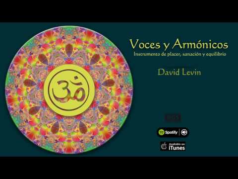 David Levin Voces y Armónicos Full album