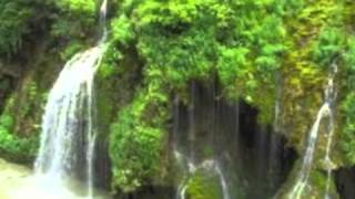 I'll Never Stop Loving You