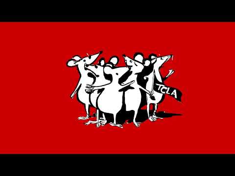 Topi con le ali - MOSCHE AL MERCATO (official audio)