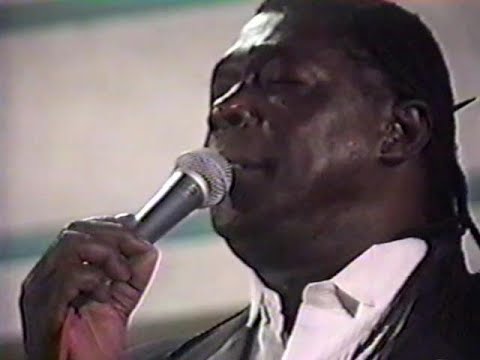 Lee Andrews & the Hearts "I'm Sorry Pillow"  Live - 1995