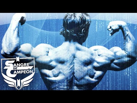 LEVÁNTATE Y ENTRENA - Motivación Gym