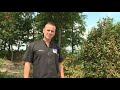 Brand tast veiligheidsgevoel directeur Beachclub Nu in Biddinghuizen aan