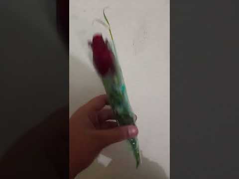 Rose flower.Happy new year