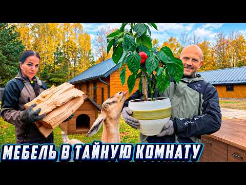 Жизнь на усадьбах: Мебель в тайную комнату, Ведёрко ушицы, Ботанический эксперимент, Требуется тигр