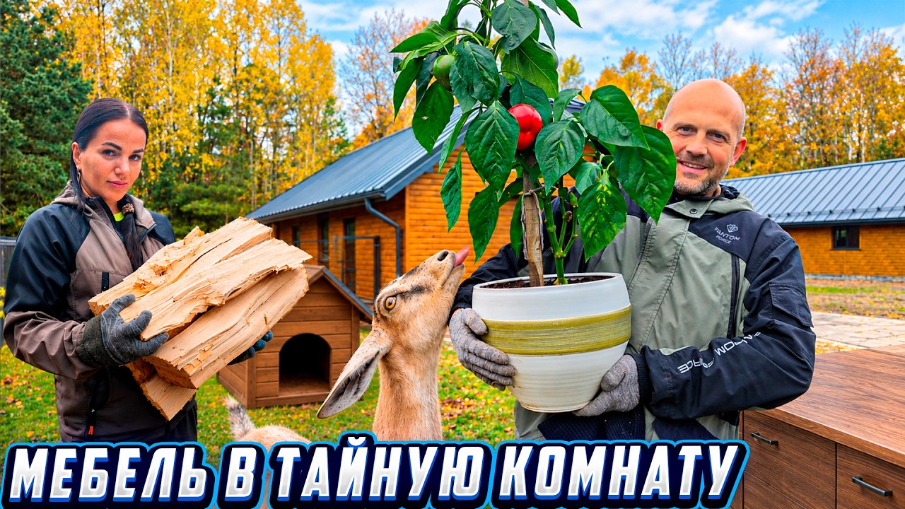 Жизнь на усадьбах: Мебель в тайную комнату, Ведёрко ушицы, Ботанический эксп?