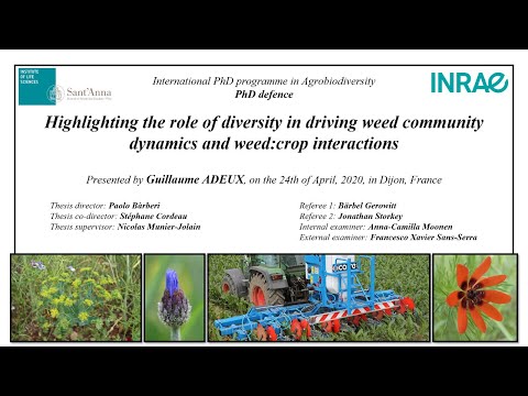 Integrated Weed Managment : PhD Defense Guillaume ADEUX - INRAE/Sant'Anna
