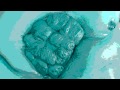 Jon Cougar Concentration Camp - My Ass (The Fistel Clip)