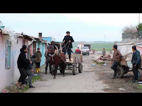 KOVBOY GAYDA (ROMANHAVASI)2021 (official video)