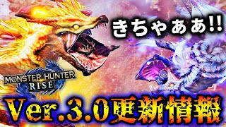 【Ver.3.0爆速更新情報】ナルハタ＆イブシマついに同時狩猟クエストか！？【モンハンライズ/MHRise】