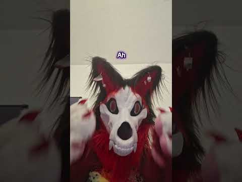 It's a BIG DIFFERENCE #furry #hehim #skullwolf #fursuit #differencebetween #therian