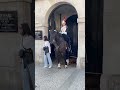 Look At This Royal Horse Posing Horseguard Horse Royalguard London Royal Kings Travel