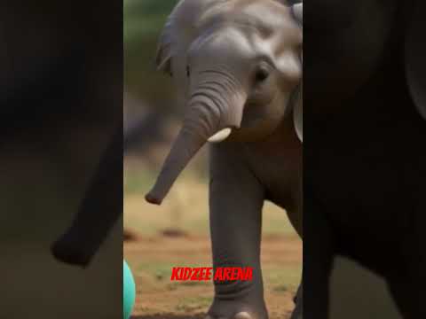 The jungle trunk - Baby Elephant Song | Nursery Rhymes #trendingshorts #viralshorts  #shorts #viral