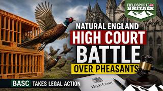 Download lagu BASC takes Natural England to the High Court – Fieldsports News, 1 July 2026 mp3