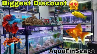 Biggest Offer In AquaFinScape | Big Discount | Betta & Gold Fish