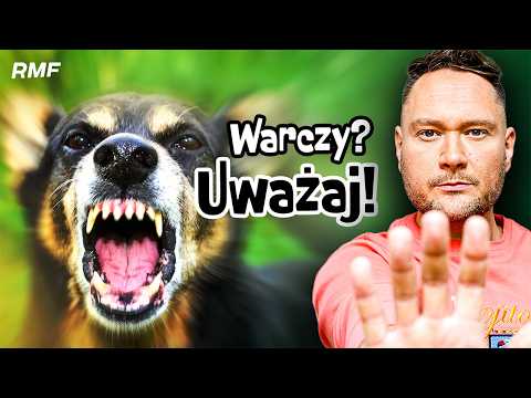 Dlaczego PIES jest agresywny? Kiedy Cię ugryzie? 7 SYGNAŁÓW