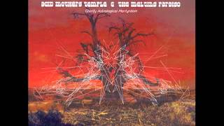 Acid Mothers Temple & the Melting Paraiso U.F.O. - Cosmic Soul Death Disco