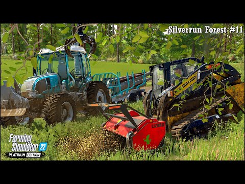 Forestry & Farming in Silverrun Forest Ep.11🔹Removing Stumps. Starting Building My Farmyard🔹#FS22