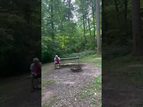 primitive tent campsite C