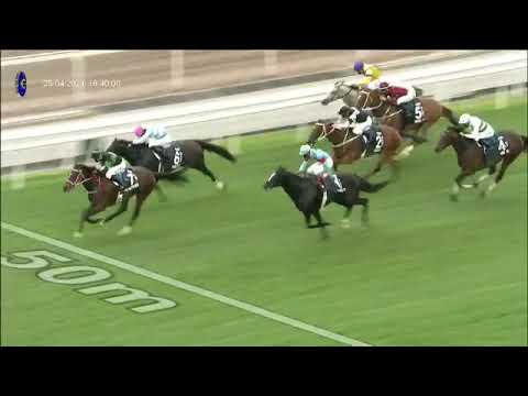 2021 HKJC THE FWD QEII CUP