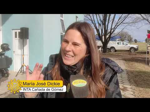 Román Domínguez - CREA Sur de Santa Fe. María José Dickie - INTA Cañada de Gómez - JAT soja y maíz.
