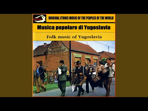 Kolo logovac i svatbena pratnja