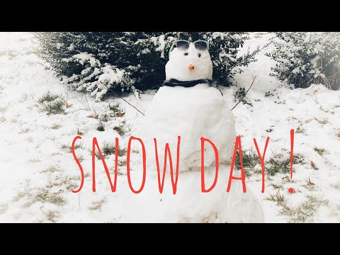 Snow Day : (01 -31-2021)
