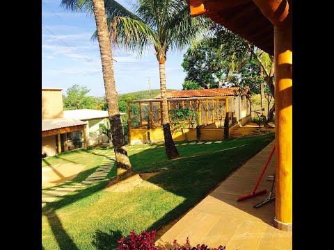 Live tira dúvidas, reprodução