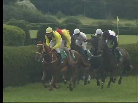 KO, 12. 8. 2017, 2. dostih - CENA PŘÁTEL DOSTIHŮ KOLESA