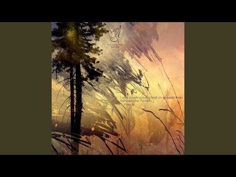 Video thumbnail for Nighttime Visit