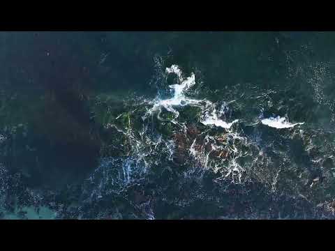 Escape to the Sapphire Shores: La Jolla Cove Relaxation